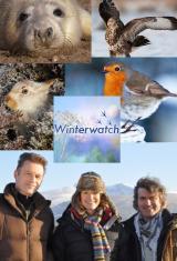 Winterwatch