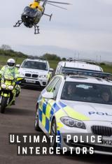 Ultimate Police Interceptors