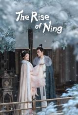 The Rise of Ning