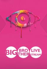 Big Brother: Live Stream